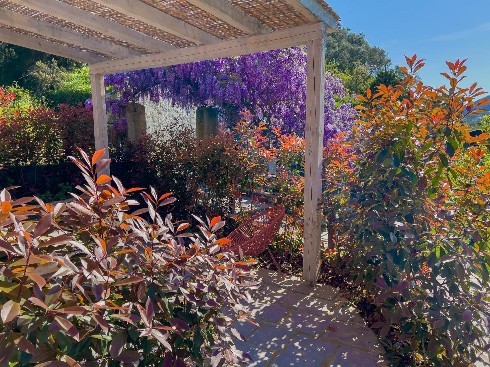 דירות לבנטו La Casa Dei Glicini מראה חיצוני תמונה